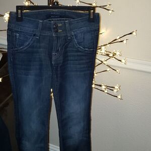 Hudson Jean's size 25